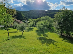 Casa de vanzare in Lesnic - imagine 7