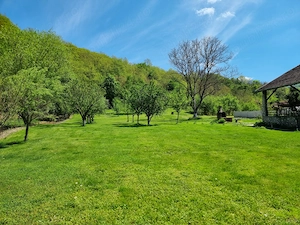 Casa de vanzare in Lesnic - imagine 10