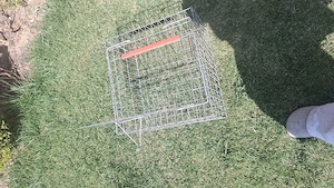 Vând cușcă de animale