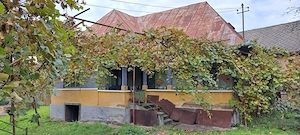 Vând teren + casă bătrânească + șură + anexe în Ocoliș, jud. Maramureș - imagine 3