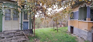 Vând teren + casă bătrânească + șură + anexe în Ocoliș, jud. Maramureș - imagine 7