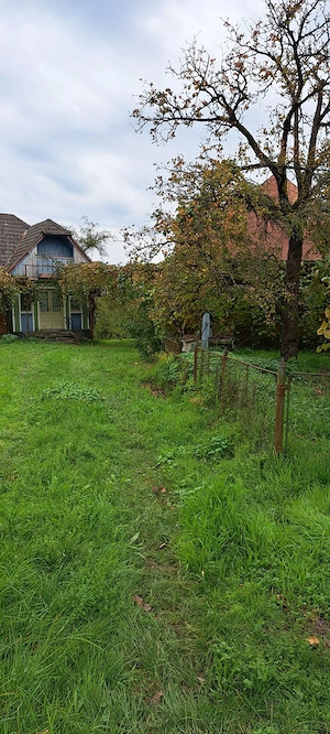 Vând teren + casă bătrânească + șură + anexe în Ocoliș, jud. Maramureș - imagine 9