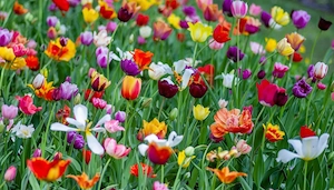 Relatie cu beneficii