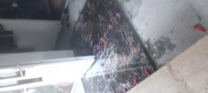 Execut gesie faianta gleturi etc - imagine 2