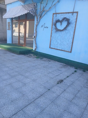 Spatiu comercial Ans. Peco cu vad  - imagine 2