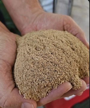 rumegus si tocatura stejar premium