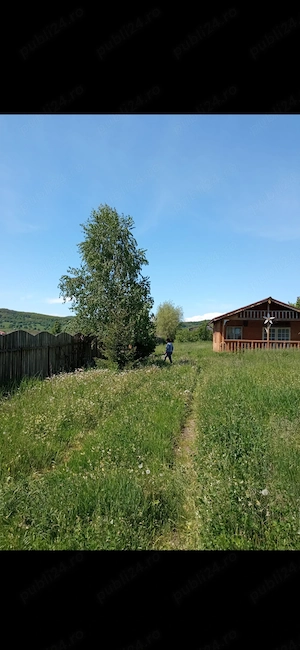 Teren intravilan cu construcție , Casa de lemn, Spațiu de producție 