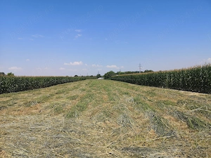 vând teren intravilan sat Varsatura - imagine 2