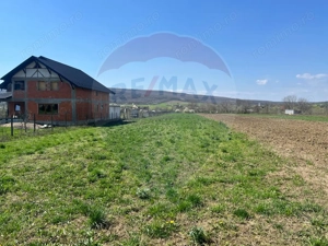 Teren 4,486mp Iordacheanu / Strada Principala