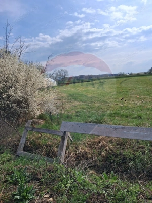 Teren 1,439mp Santaul Mare / Strada principala - imagine 2