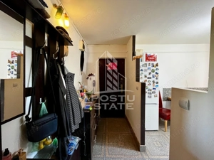 Apartament 2 camere de vanzare, zona Dambovita, Timisoara - imagine 15