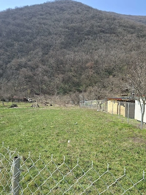 Proprietar,Ocazie, Langa Gara Herculane, Teren pt Casa,1025 mp ,FS 25 m,Pret 24 E mp Neg - imagine 6