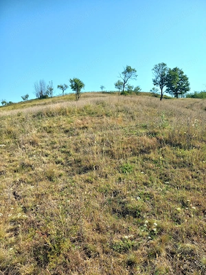 Vând teren extravilan!!! - imagine 2