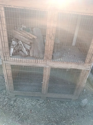 cotet de pasari sau iepuri