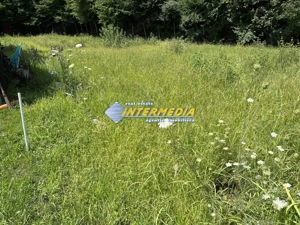 Teren Intravilan | 850 mp. | Alba Micesti | Apa Curent | Gaz in zona | Panoramic - imagine 2