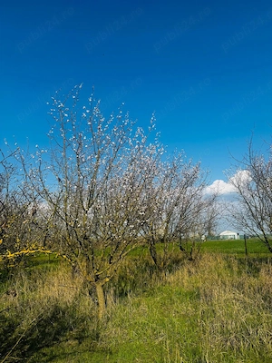 Livada Teren intravilanVând teren de 1000 mp, situat într-un sat liniștit, ideal pentru construcție  - imagine 4