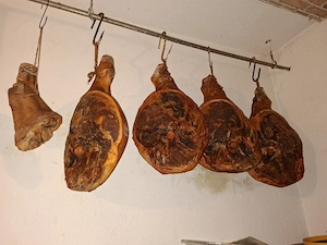 vand sunca