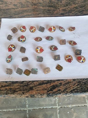 pionerii din comunism - imagine 3