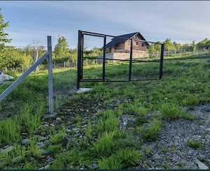 Teren extravilan 10 arii (1000 mp) Bistrita , Dealul Targului - imagine 3