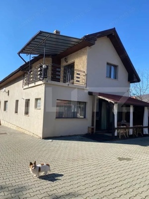 Vila individuala 6 camere, 1905 mp teren, in Stejeris langa Turda - imagine 2