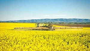 PORTOFOLIU AGRICOL PREMIUM 3.000 HA SUDUL ROMÂNIEI OPORTUNITATE INVESTIȚIONALĂ - imagine 6