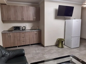 De inchiriat apartament 1 camera in zona Take Ionescu  - imagine 2