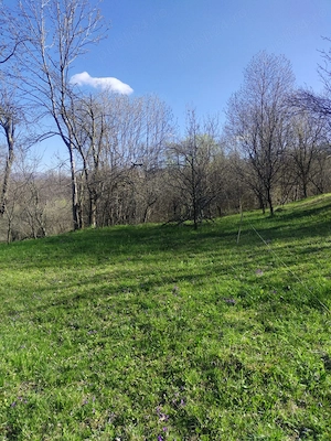Teren intravilan com.Drajna, sat Cătunu, 12 km de Vălenii de Munte, jud. Prahova  - imagine 7