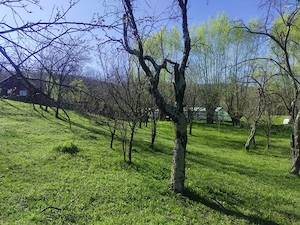 Teren intravilan com.Drajna, sat Cătunu, 12 km de Vălenii de Munte, jud. Prahova  - imagine 5