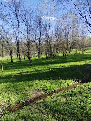 Teren intravilan com.Drajna, sat Cătunu, 12 km de Vălenii de Munte, jud. Prahova  - imagine 3