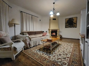 Casa de vanzare Sanandrei, 160 mp utili, 1000 mp teren, pozitie foarte buna.