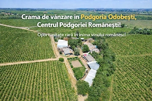  Cramă complet funcțională in inima Podgoriei Odobești - imagine 10