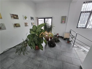 Hala depozitare + Showroom - imagine 6