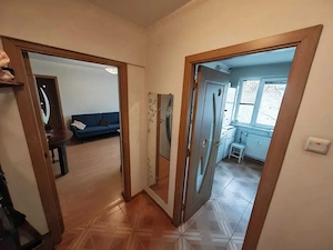 chirie 2 camere dristor park lake