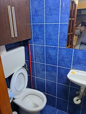 Închiriez garsoniera in Oradea Str. Lapusului 13, parter - imagine 8