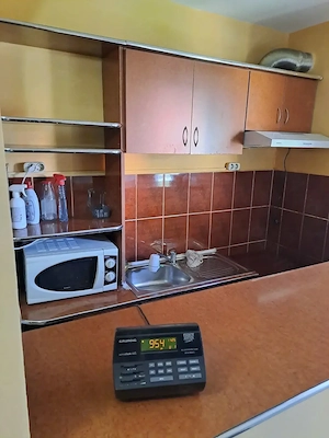 Închiriez garsoniera in Oradea Str. Lapusului 13, parter - imagine 3