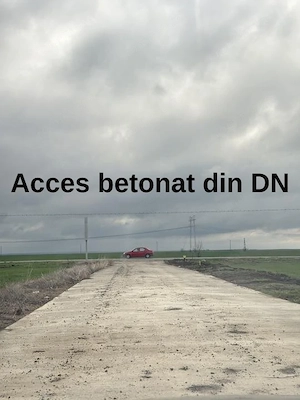 Teren Frumusani 400 mp cu Gaz- Curent D.N.4 - imagine 7