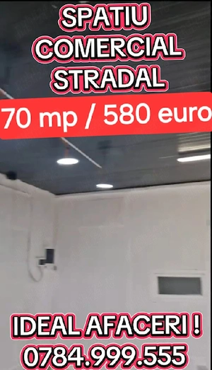 Sos.Alexandriei Spatiu Stradal 70mp Grup sanitar AC La Cheie Super Vad Super Trafic Super Pozitie - imagine 4