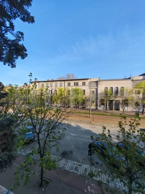 Cladire istorica, 175mp-5 camere, etaj 1,  1538Euro/ mp ,  zona Sinaia - imagine 11