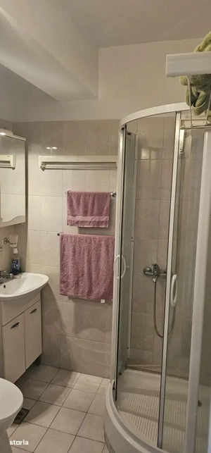 Studio Cismigiu, 24 mp, bloc solid, ideal inchiriere - imagine 5