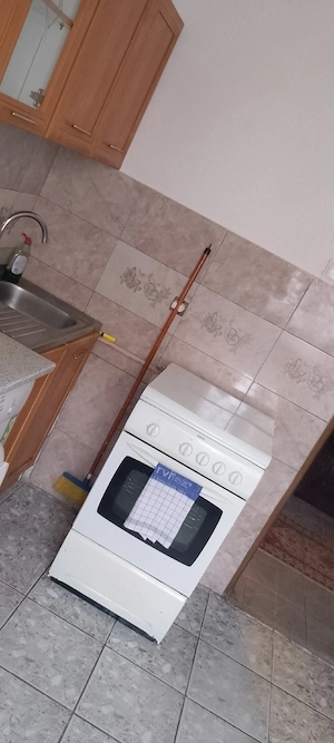 vand camin cu 2 camere     - imagine 2