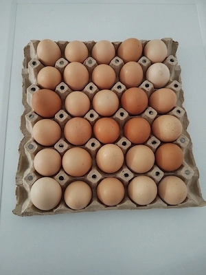 oua proaspete de casa