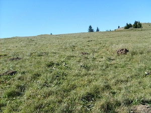 vand teren intravilan FUNDATICA pozitionare superba- de o parte Piatra Craiului, de cealalta Masivul - imagine 7