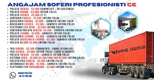 Agentia E.M.C. Consulti S.R.L..angajeaza soferi C.E. Italia - imagine 2