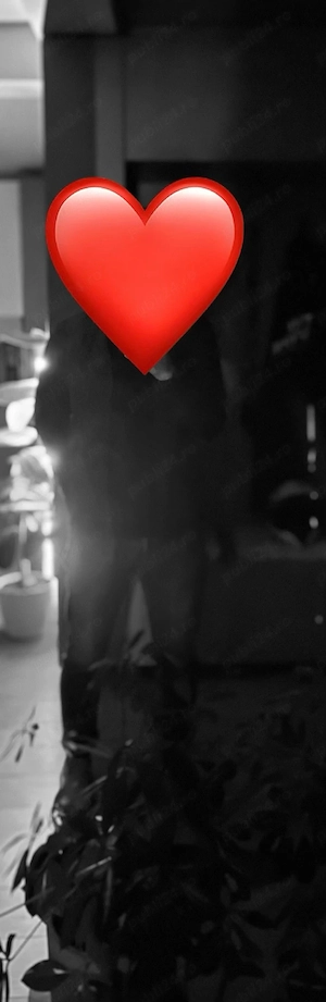 Temporar in oraş   Temporary in town