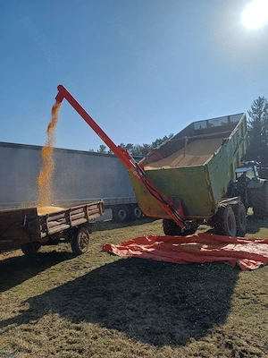 Remorca de transfer cu snec  - imagine 2