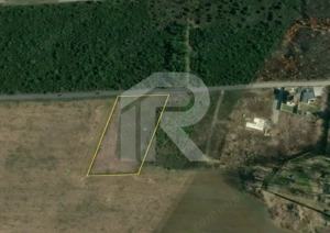 BALOTESTI - EDENLAND -  ideal investitie - Teren 5.254 mp, lângă pădure - imagine 4