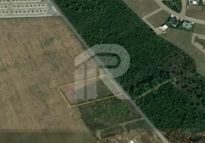 BALOTESTI - EDENLAND -  ideal investitie - Teren 5.254 mp, lângă pădure - imagine 3