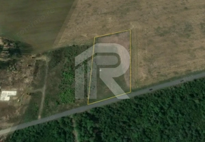 BALOTESTI - EDENLAND -  ideal investitie - Teren 5.254 mp, lângă pădure - imagine 5