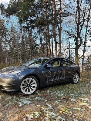 Tesla Model 3 Long Range Dual Motor AWD - imagine 2