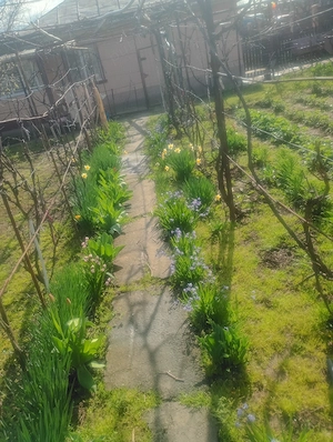 Casă+teren intravilan de vânzare, preț negociabil ,cu deschidere la șosea 30 me ,în Călărași ! - imagine 3